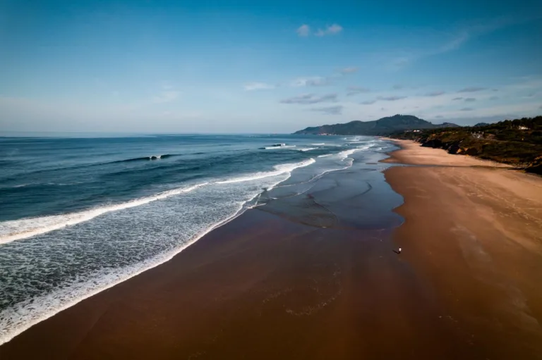 DJI_0462